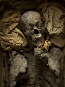 La medicina en Egipto. la momia de Amenhotep II y la odontología